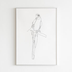 Plakatas „Linijos. Papūga“