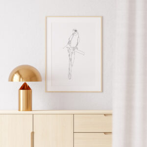 Plakatas „Linijos. Papūga“