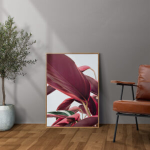 Plakatas „Raudona Kalatėja“