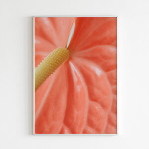 Plakatas „Anturis“