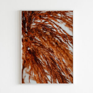 Plakatas „Argentininė kortaderija“