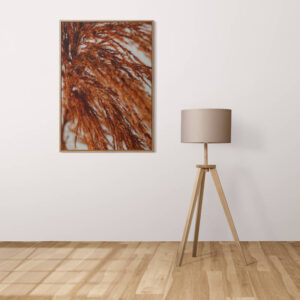 Plakatas „Argentininė kortaderija“