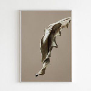 Plakatas „Džiovintas lapas“