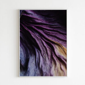 Plakatas „Purpurinis sudžiovintas lapas“