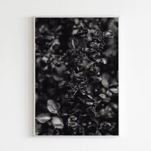 Plakatas „Krūmas“