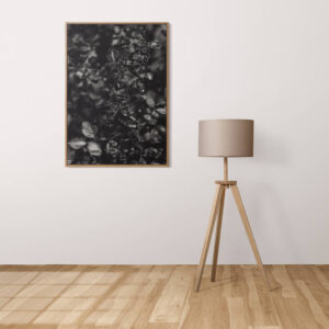 Plakatas „Krūmas“