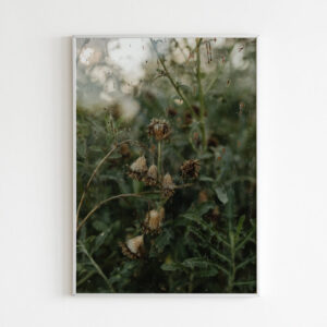 Plakatas „Apleisti“