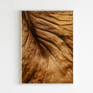 Plakatas „Džiovintas ruduo“