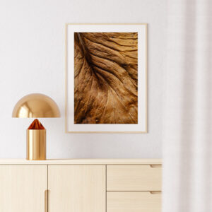 Plakatas „Džiovintas ruduo“