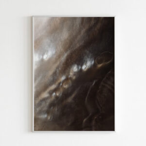 Plakatas „Kriauklės fragmentas“