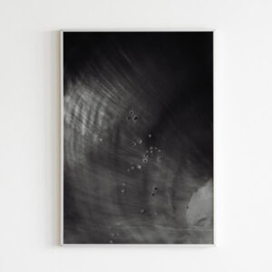 Plakatas „Nespalvotas kriauklės fragmentas“