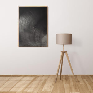 Plakatas „Nespalvotas kriauklės fragmentas“