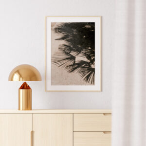 Plakatas „Palmių šešėliai“