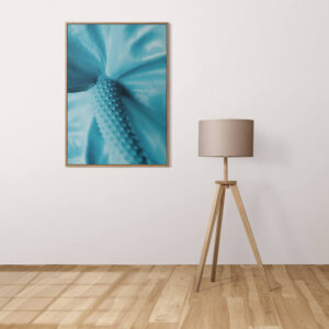 Plakatas „Turkio spalvos anturis“