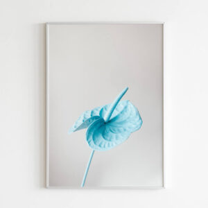 Plakatas „Anturio žiedas“