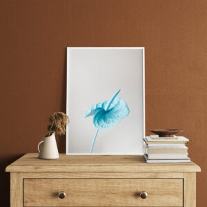 Plakatas „Anturio žiedas“