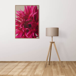 Plakatas „Gerbera“