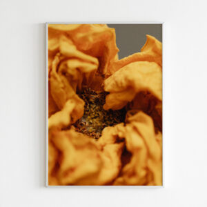 Plakatas „Džiovinta oranžinė gėlė“