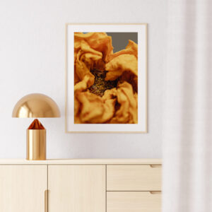 Plakatas „Džiovinta oranžinė gėlė“