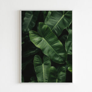 Plakatas „Džiunglių motyvas“