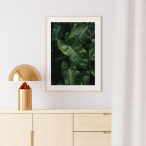 Plakatas „Džiunglių motyvas“