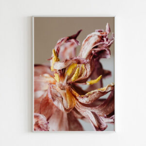 Plakatas „Džiovintas gėlės žiedas“