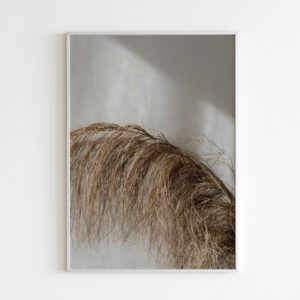 Plakatas „Supasi“