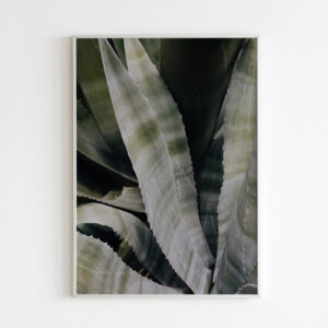 Plakatas „Augalo motyvas“