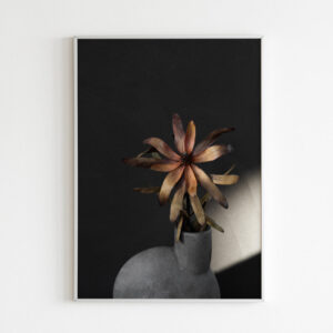 Plakatas „Užtemimas“