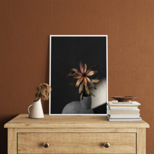 Plakatas „Užtemimas“