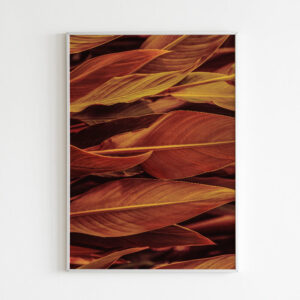 Plakatas „Saulėlydžio lapai“