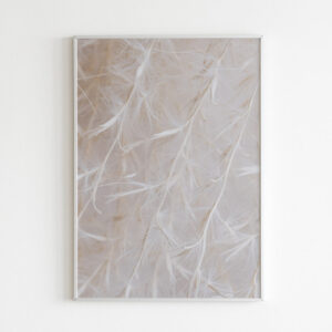 Plakatas „Švelnumas“