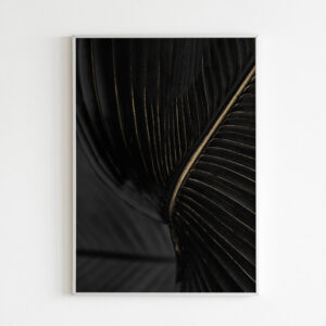 Plakatas „Juoda ir aukso“