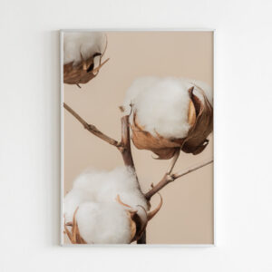 Plakatas „Medvilnė“