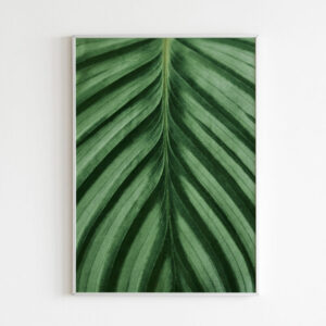 Plakatas „Lapas iš arti“