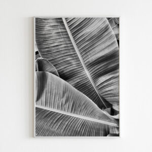 Plakatas „Juoda balta lapai“