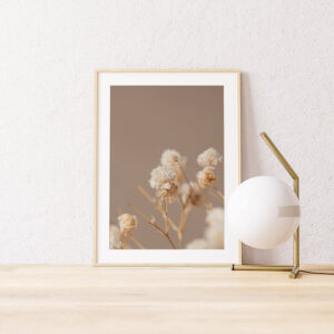 Plakatas „Džiovinta guboja“