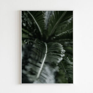 Plakatas „Tropiniai lapai“