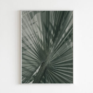 Plakatas „Šalta palmė“