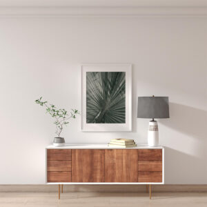 Plakatas „Šalta palmė“