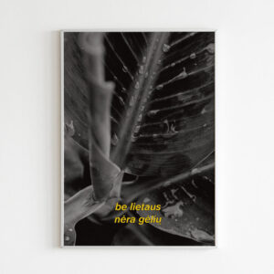 Plakatas „Be lietaus nėra gėlių“