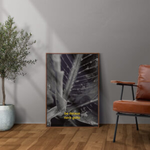 Plakatas „Be lietaus nėra gėlių“